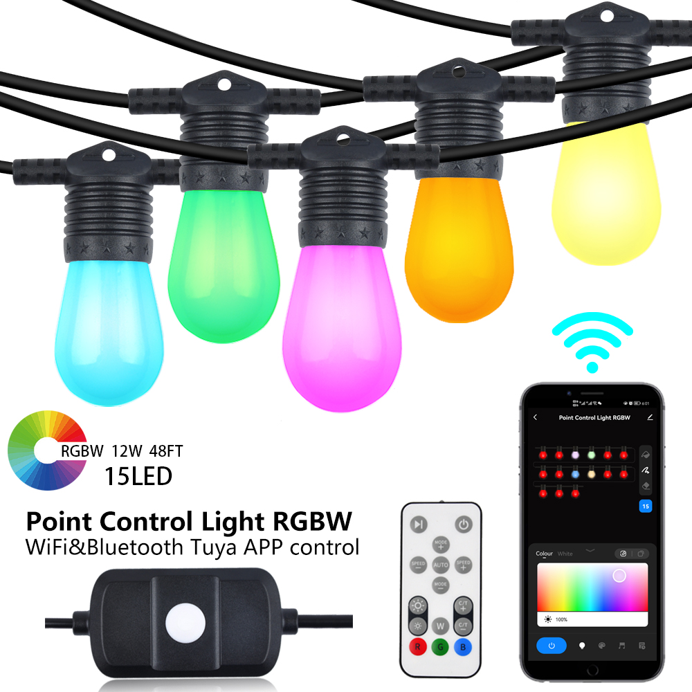 Tuya Smart Point Control RGBW String Light